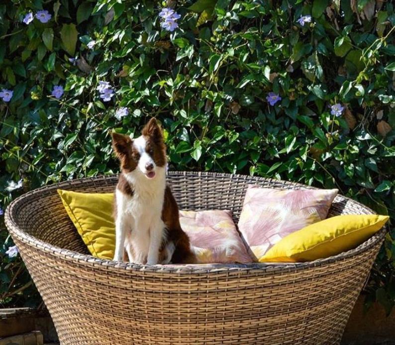 Villa Aye Pousada Boutique Petfriendly Сокоро Екстериор снимка