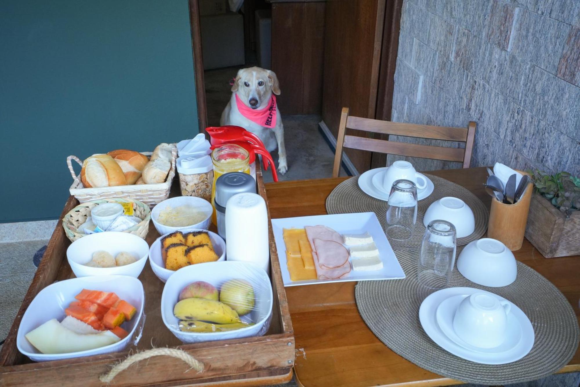 Villa Aye Pousada Boutique Petfriendly Сокоро Екстериор снимка