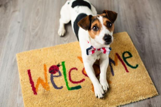 Villa Aye Pousada Boutique Petfriendly Сокоро Екстериор снимка